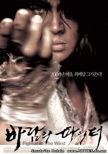 Воин ветра / Baramui Fighter (2004)